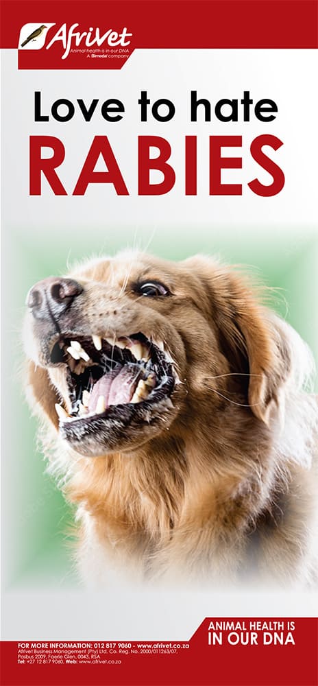 love to hate rabies pamphlet cover